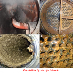 LO11-150x150 LO11-150×150