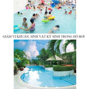 xử lý nước bể bơi