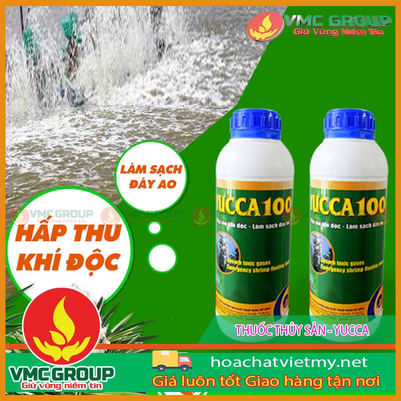 Thuốc thủy sản Yucca Thuốc thủy sản Yucca