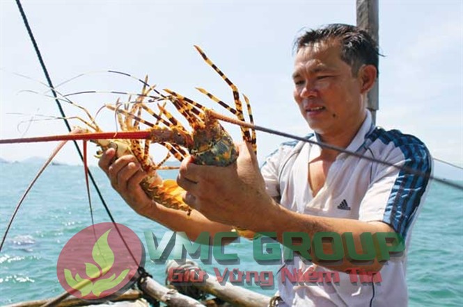 f0a83cae5d3691cb5623d026e9fe094b103537994