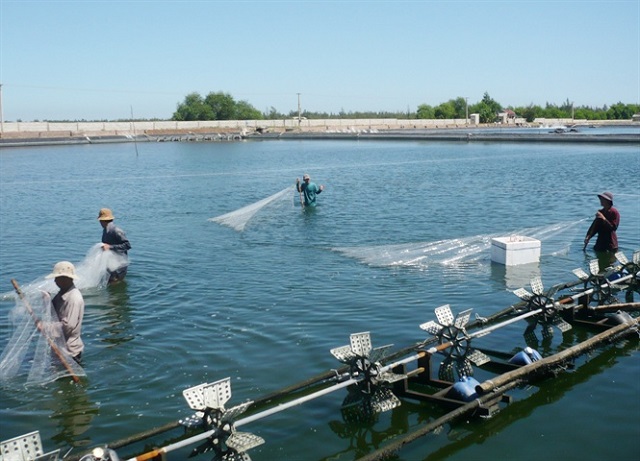 HỎI-ĐÁP-CÁC-HÓA-CHẤT-CẤM-SỬ-DỤNG-TRONG-THỦY-SẢN