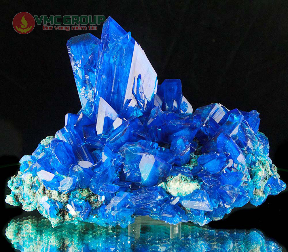 CuSO4 có dạng tinh thể hoặc dạng bột màu xanh