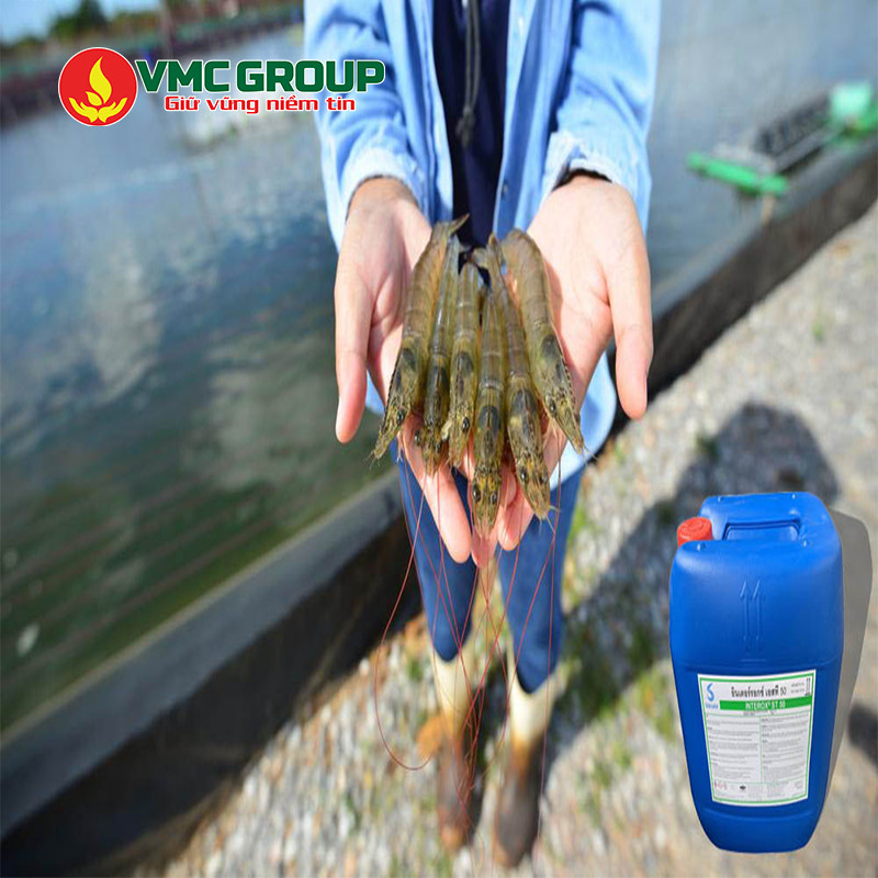 Oxy già đem đến nhiều lợi ích trong nuôi tôm
