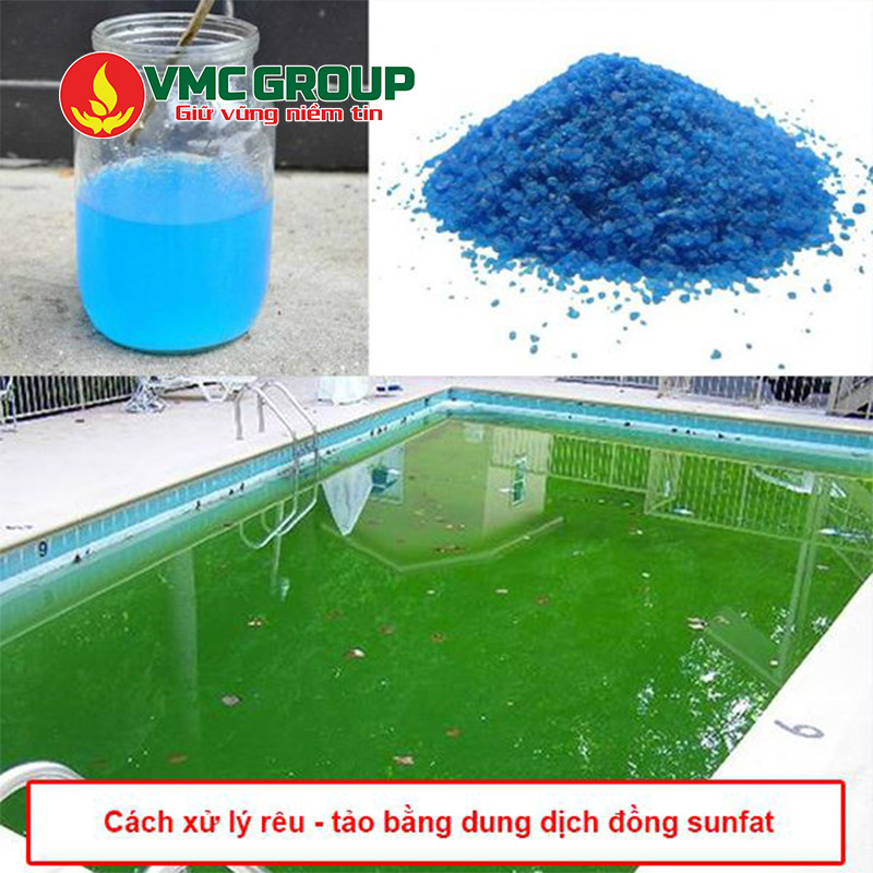 Cách sử dụng đồng bột diệt rêu tảo hồ bơi hiệu quả.