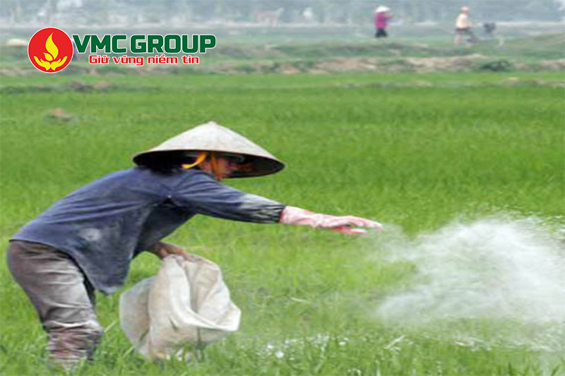 Vôi nông nghiệp có dạng bột màu trắng