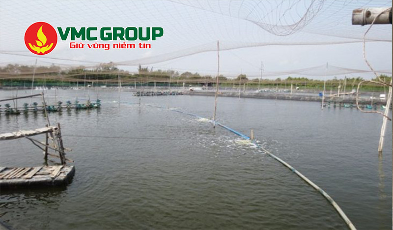 Soda Ash Light được dùng trong xử lý nước thủy sản