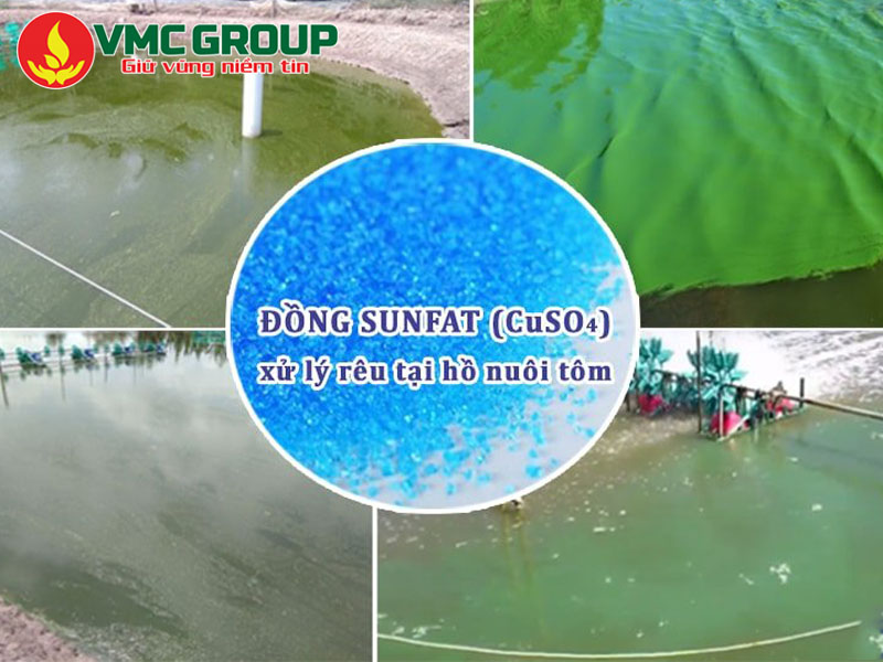 Những ứng dụng của đồng sulphate