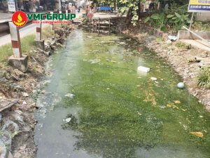 Cloramin B giúp khử trùng nguồn nước đọng, ngăn muỗi phát triển