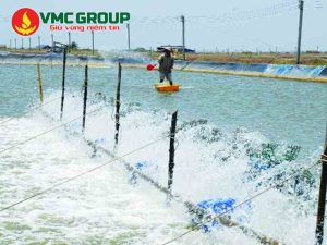 Glutaraldehyde diệt khuẩn trong ao nuôi thủy sản