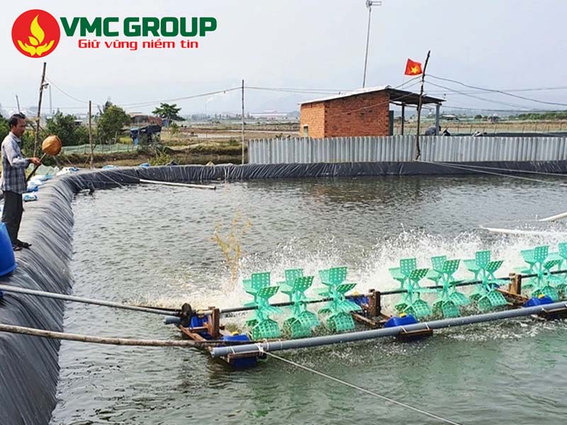 Povidone iodine trong thủy sản để ngăn ngừa và điều trị các bệnh nhiễm trùng do vi khuẩn, virus và nấm