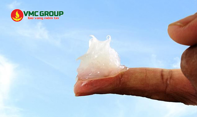 Vaseline có dạng sáp, không mùi, không vị