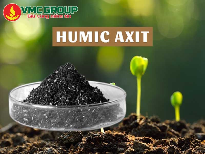 ACID HUMIC LÀ GÌ? TÁC DỤNG VÀ ỨNG DỤNG NỔI BẬT TRONG NÔNG NGHIỆP
