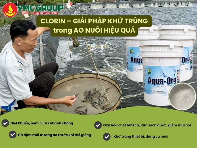 ứng dụng của Clorin Aqua Org Ấn Độ trong thủy sản