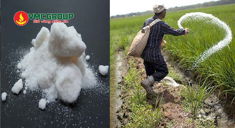 Kali Clorua được dùng làm phân bón cho cây trồng