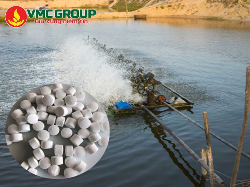 Oxy viên Trung Quốc- Ứng dụng quan trọng trong ngành thủy sản