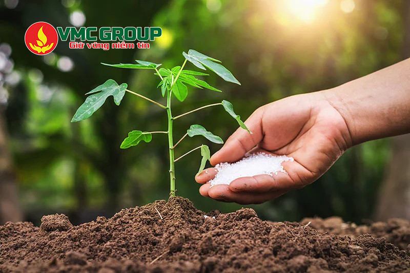 Magie clorua được dùng làm phân bón cho cây trồng