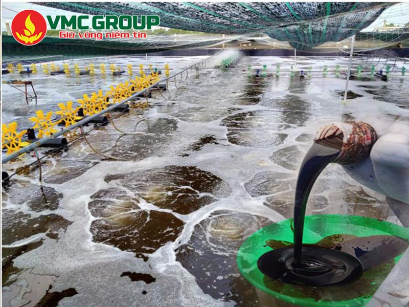 Rỉ mật có ứng dụng trong ao nuôi thủy sản