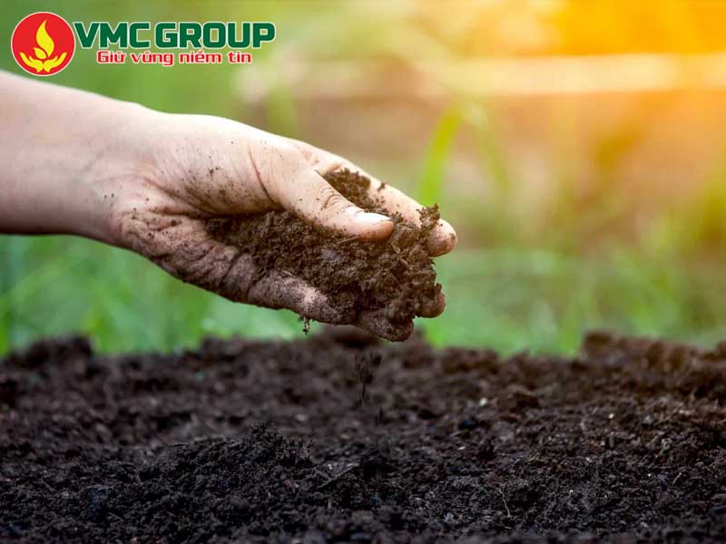 Tác dụng của Acid Humic đối với đất