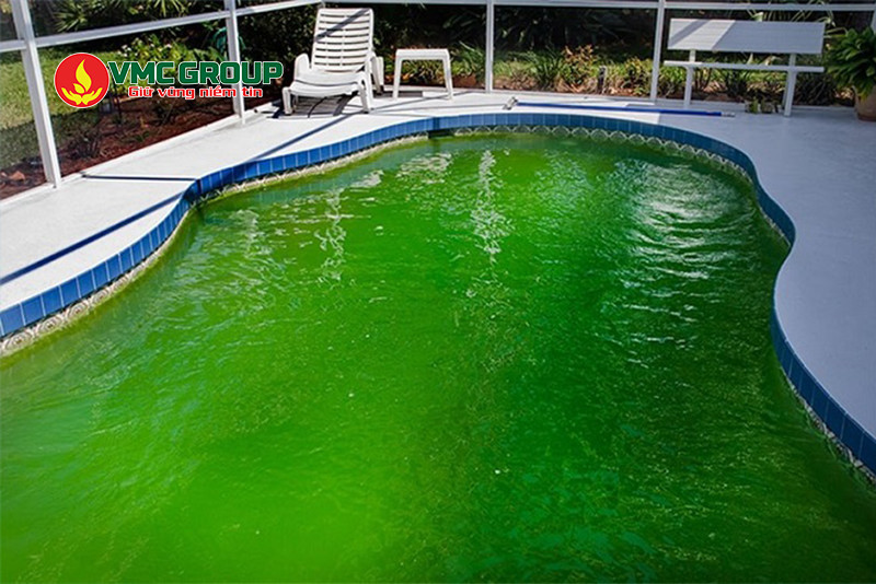 TCCA bột được dùng trong xử lý nước hồ bơi