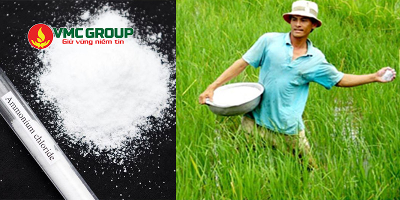 Ammonium Chloride được dùng trong sản xuất phân bón cho cây trồng