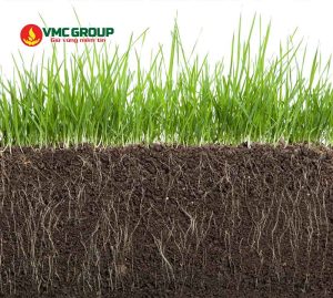 Diammonium Phosphate được dùng làm phân bón cho cây