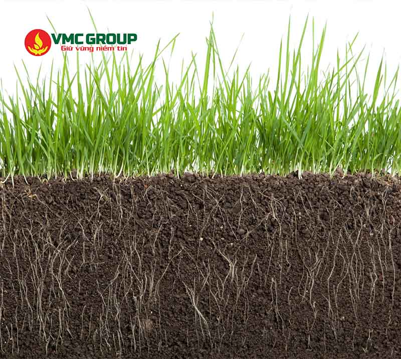 Diammonium Phosphate được dùng làm phân bón cho cây