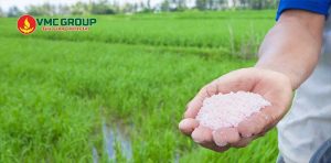 HNO3 68% được dùng trong sản xuất phân bón