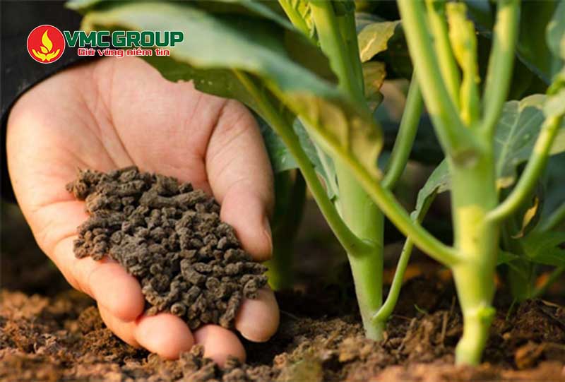 Kẽm sunphat được dùng làm phân bón trong nông nghiệp