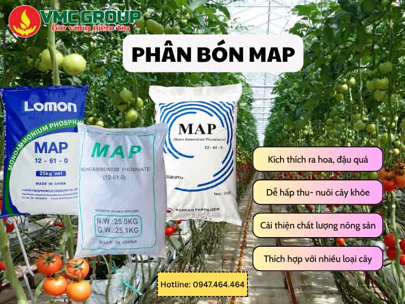 MAP dùng làm phân bón trong nông nghiệp