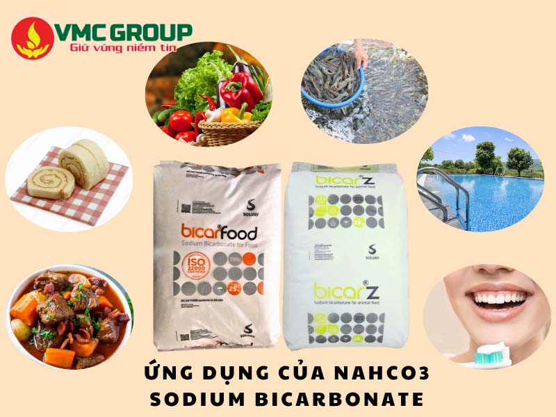 Tổng hợp các ứng dụng của Sodium Bicarbonate
