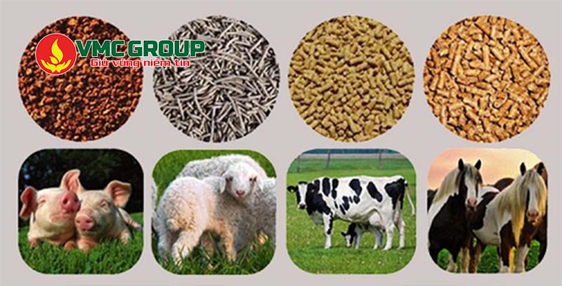 Acid formic là chất bảo quản trong thức ăn chăn nuôi