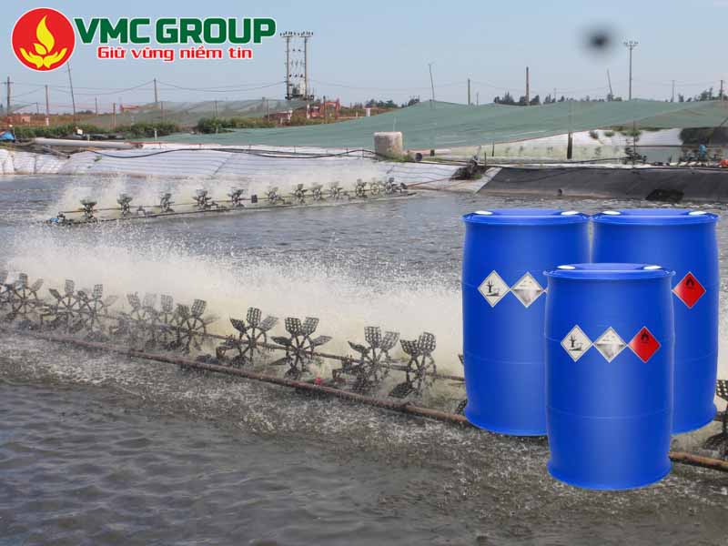 Ứng dụng và liều lượng BKC 80 trong xử lý nước