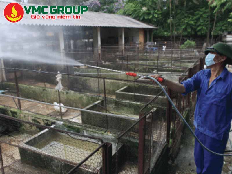 Hướng dẫn sử dụng BKC 80 trong sát khuẩn chuồng trại