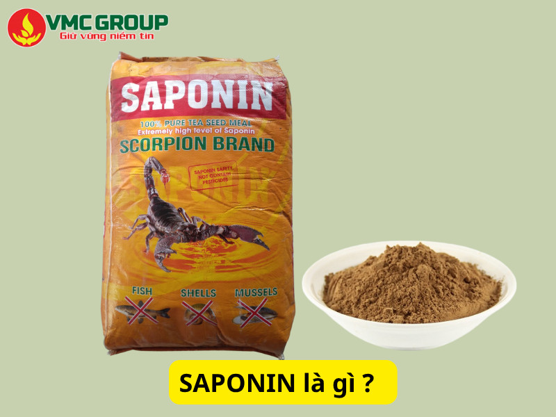 Saponin là gì?