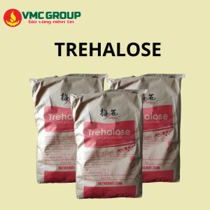 Mua đường tảo Trehalose ở đâu uy tín đảm bảo chất lượng