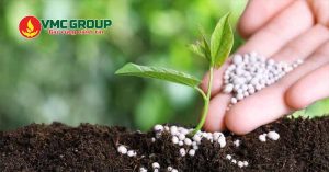 Phosphoric acid dùng trong sản xuất phân bón