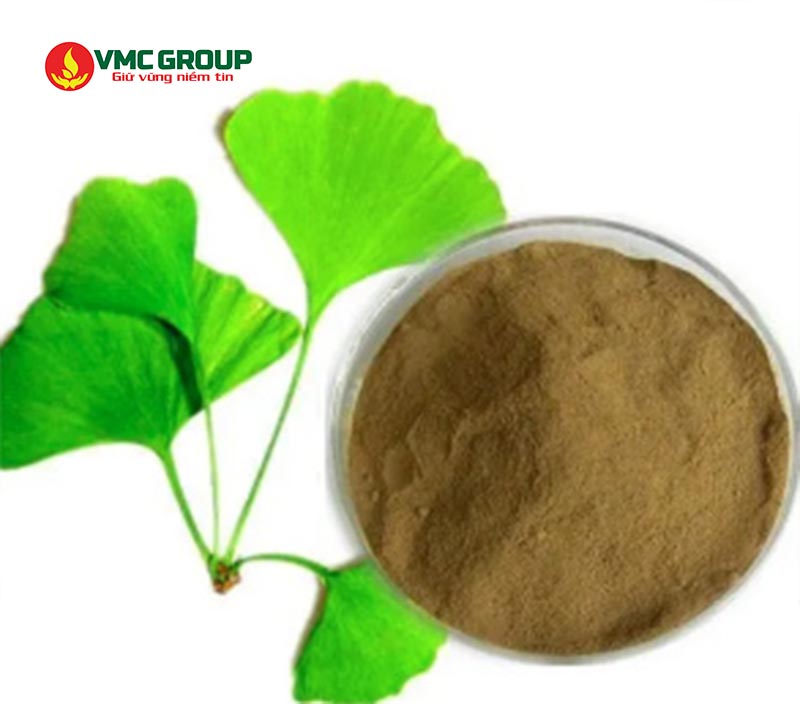 Cao bạch quả có dạng bột màu nâu