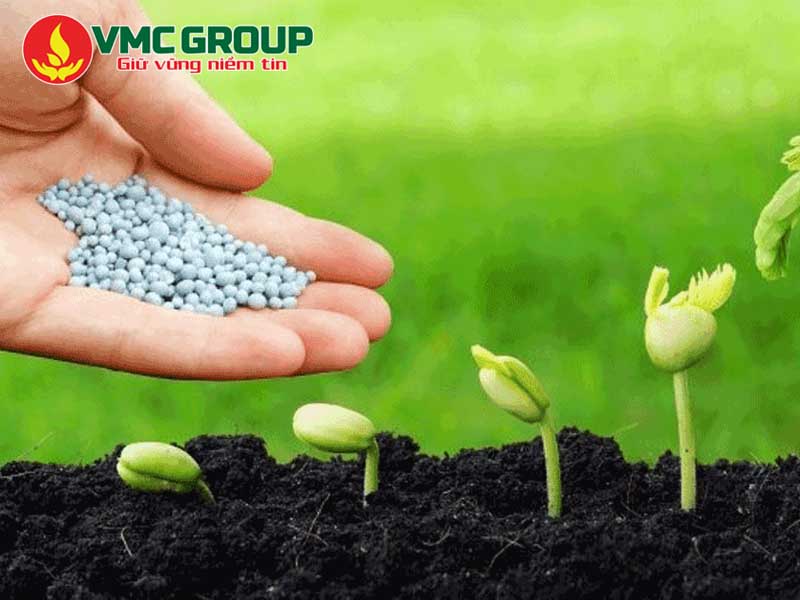 Bột Khai có ứng dụng làm phân bón nông nghiệp