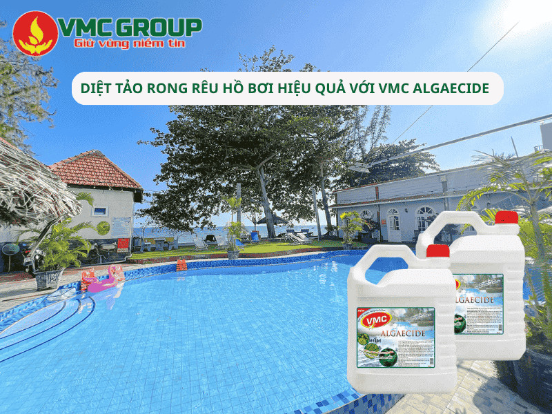Cách diệt tảo rong rêu hồ bơi hiệu quả với VMC Algaecide