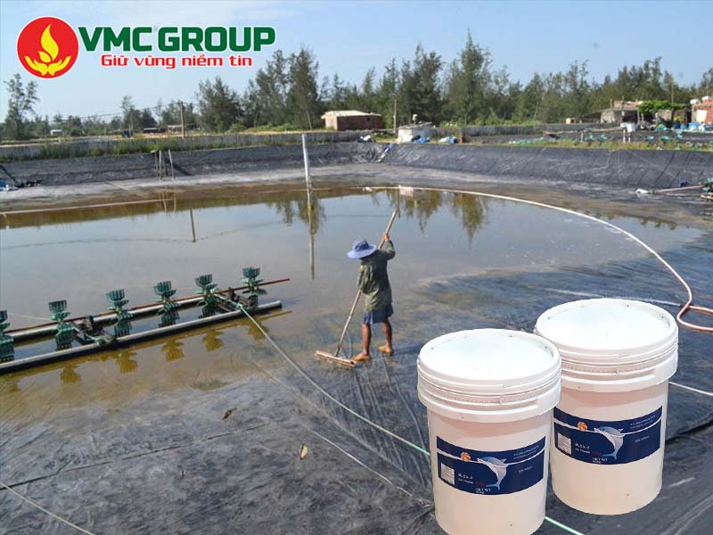 Chlorine cá heo xử lý nước trong ao nuôi thủy sản