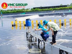 Oxy bột có độc không