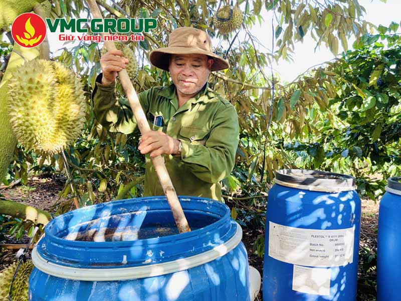 Dịch đạm cá cải thiện năng suất và chất lượng nông sản