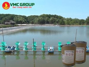 Ứng dụng của DCCNa trong nuôi trồng thủy sản