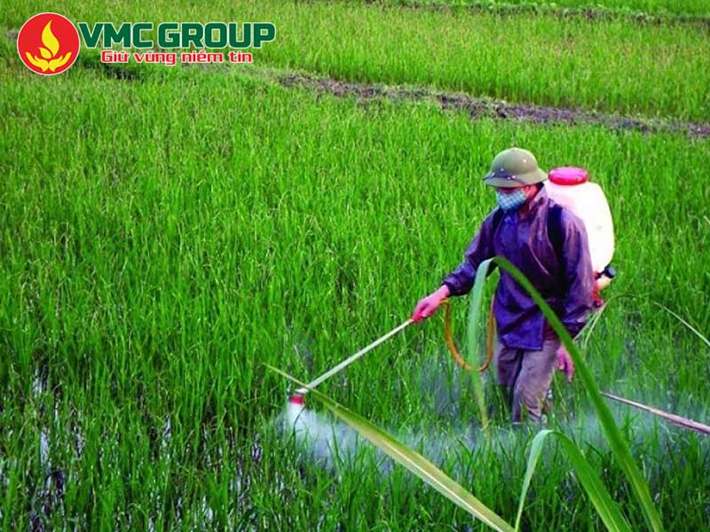 DMSO làm dung môi trong sản xuất thuốc trừ sâu