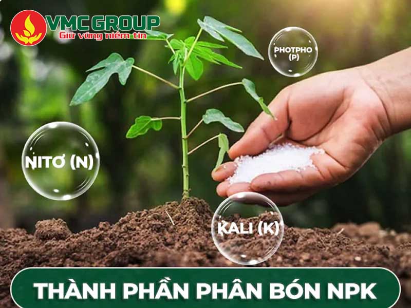 Ứng dụng trong sản xuất phân bón