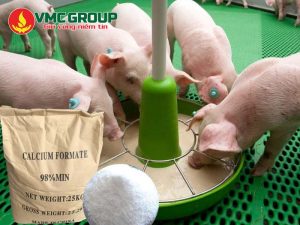 Giới thiệu về Calcium Formate và những ứng dụng nổi bật