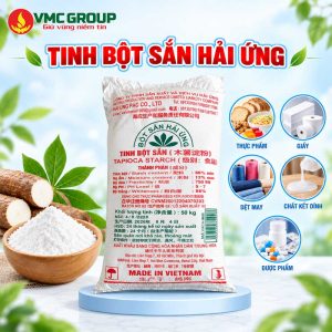 tinh bot san hai ung